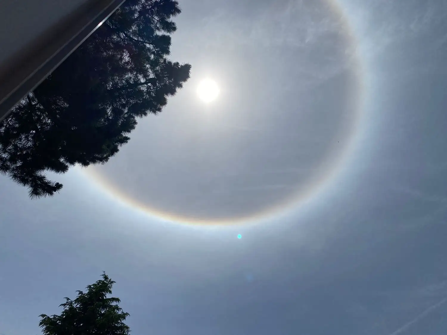 halo solar
