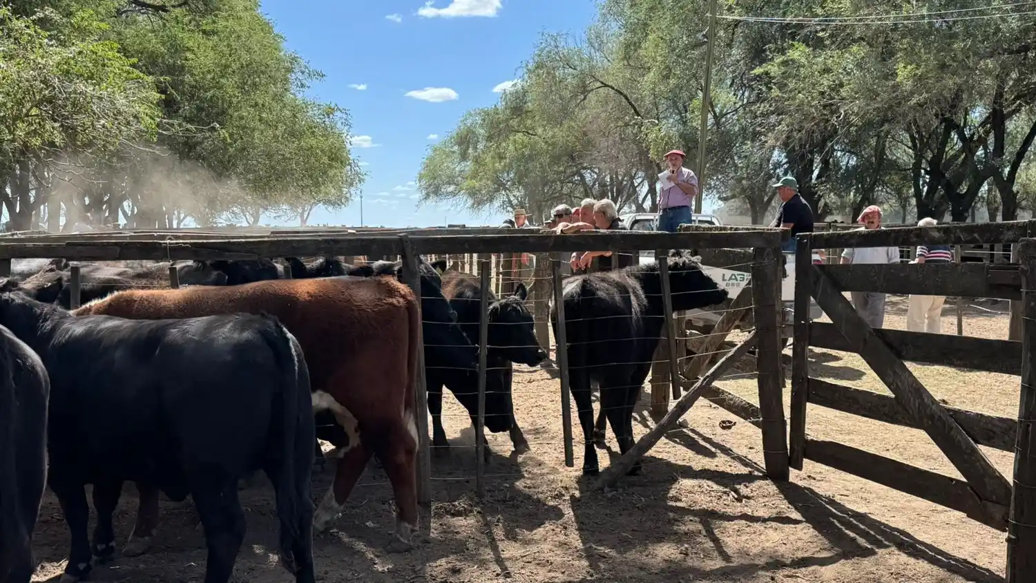 La Agrícola Ganadera arrancó en San Cayetano su año más especial