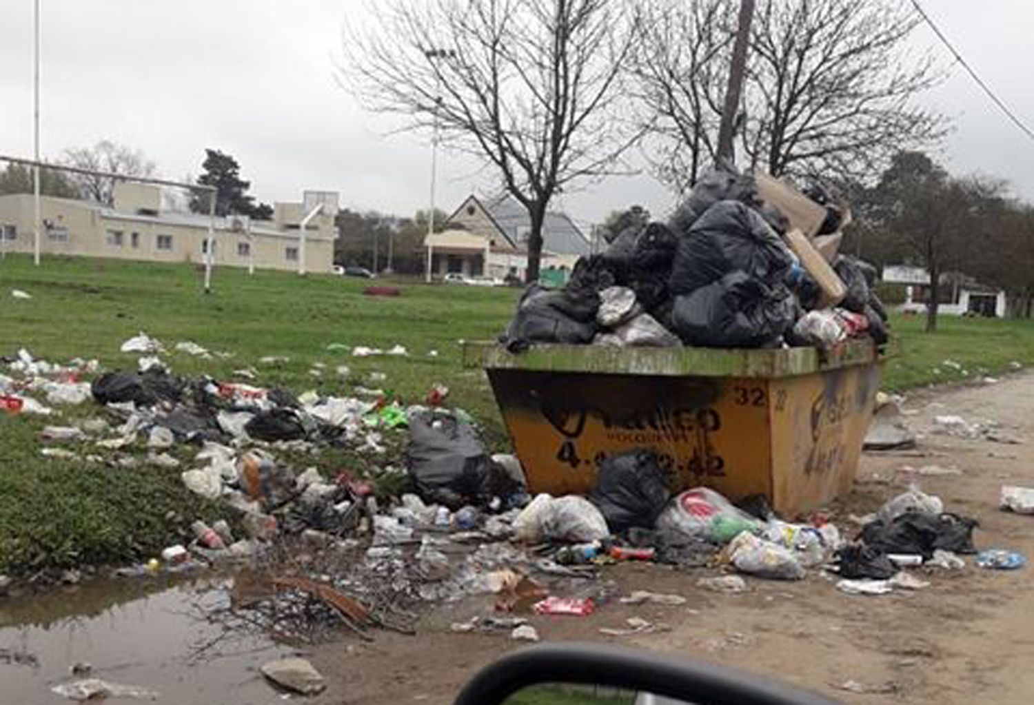 Contribuir en casa al cuidado del medioambiente