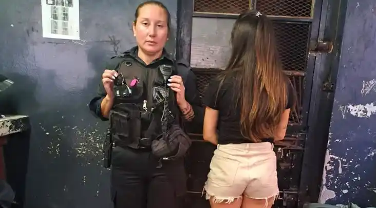 Detuvieron a la dueña del perro que murió asfixiado porque lo dejaron encerrado un día de calor dentro de su auto