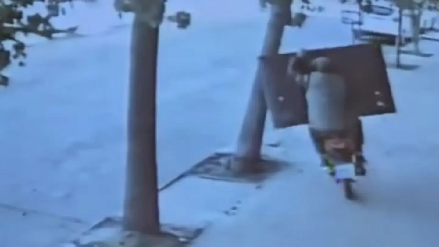 Robó un televisor, escapó en moto y terminó en el piso tras chocar con un árbol: el desopilante video