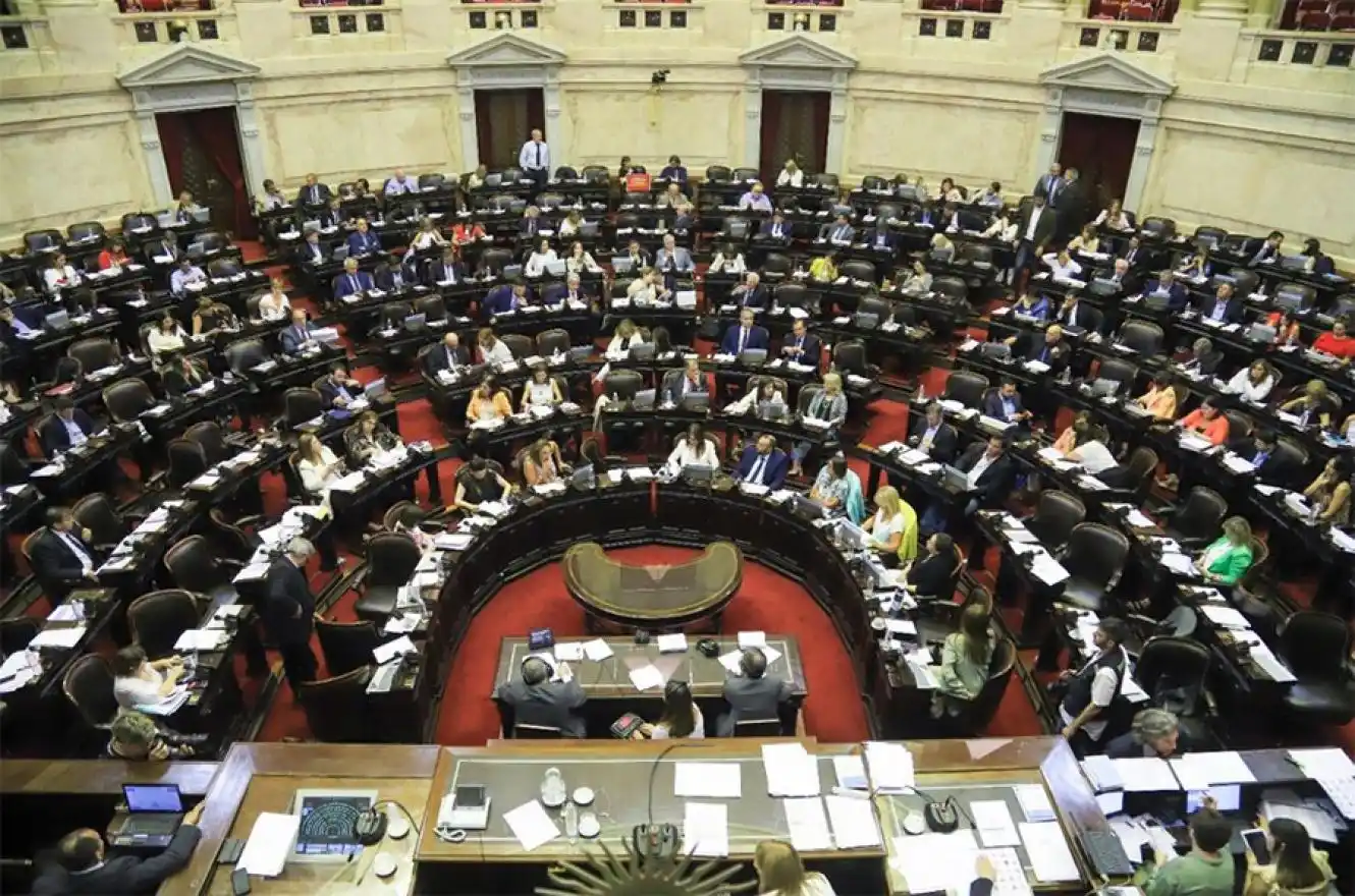 Camara de Diputado de la Nacion