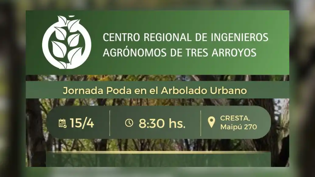 Invitación a la Jornada de Poda en el Arbolado Urbano