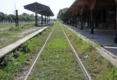 No vuelve el tren a Tandil: “Es una decisión política del presidente Milei”