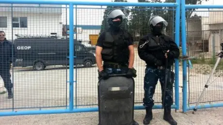 Chubut: Secuestran más de 1000 kilos de cocaína en cajas de langostinos