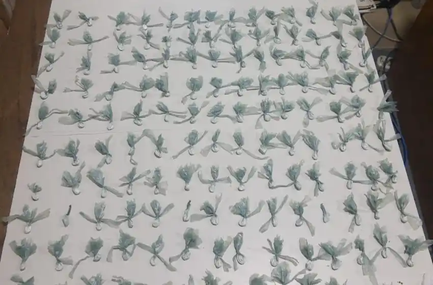 Detuvieron a una mujer y encontraron 140 envoltorios de cocaína