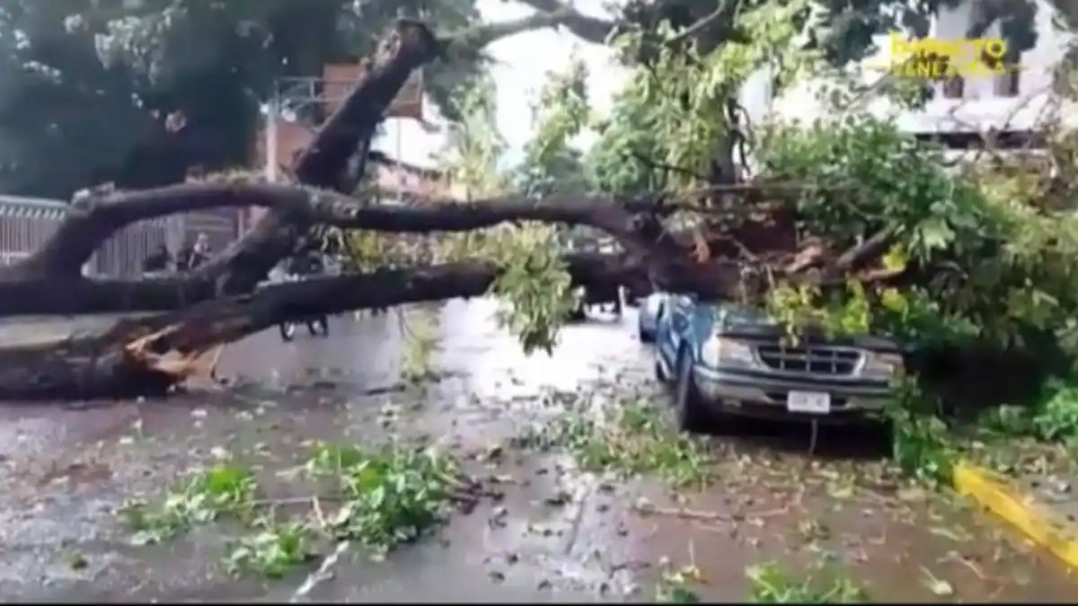 TORRENCIAL AGUACERO causó estragos en Caracas (+Reporte)