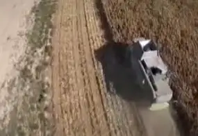 Las lluvias trajeron algo de alivio al campo en Entre Ríos, pero hay zonas todavía críticas