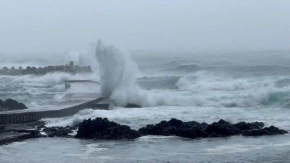 ¡ALARMA EN JAPÓN! Cientos de vuelos y trenes cancelados por un tifón que amenaza Tokio