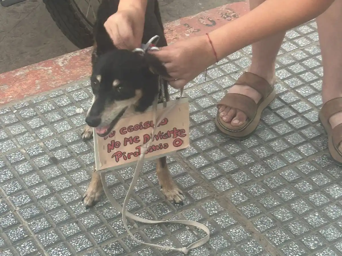 marcha pirotecnia - 1