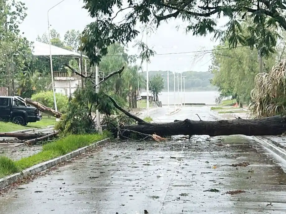 La municipalidad interviene en distintas situaciones generadas por el temporal