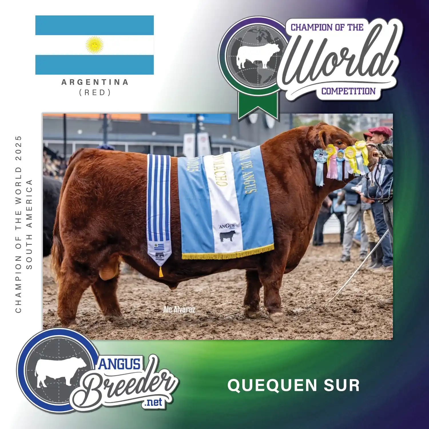 bronce padrino 2