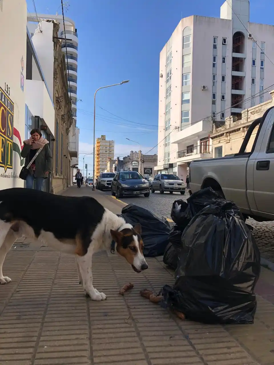 semana en fotos del 2 al 8 de junio - 2