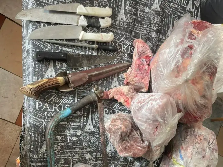 Algunos de los materiales y cortes secuestrados tras los allanamientos.