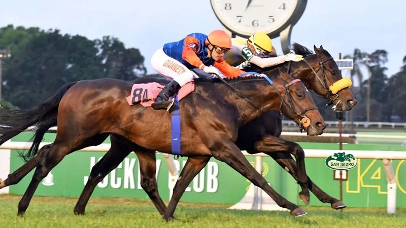 Viernes 7: Actividad Hipódromo de San Isidro