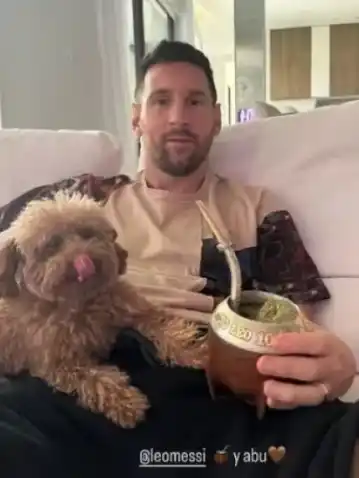 Más que una mascota, Abú es un miembro fundamental en la vida de los Messi, compartiendo momentos especiales con la familia.