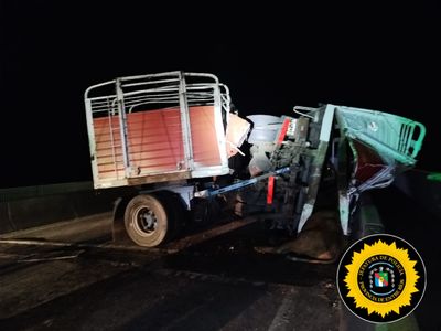 Grave accidente en la ruta 174: dos conductores heridos y un tercero lesionado por un toro