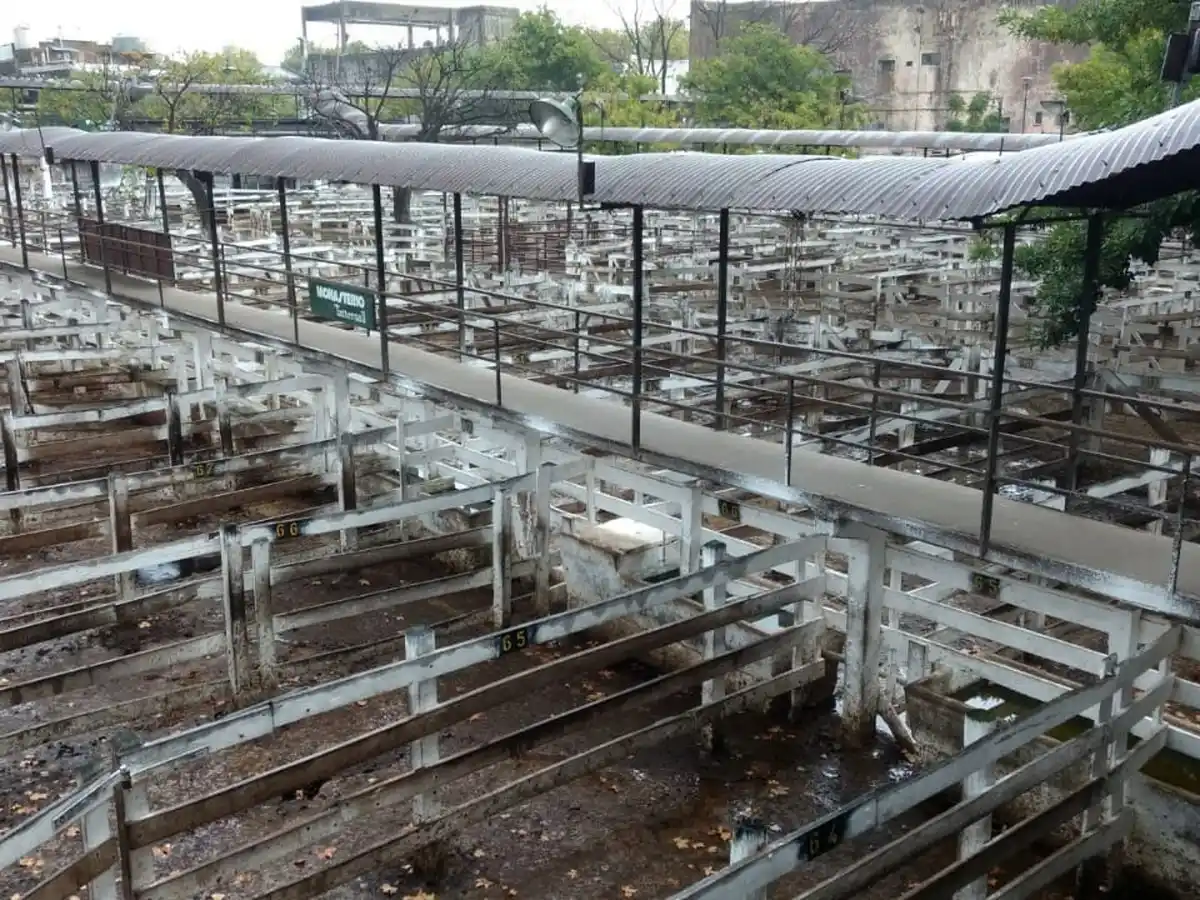 En la previa del paro que comenzó hoy los precios subieron en Liniers