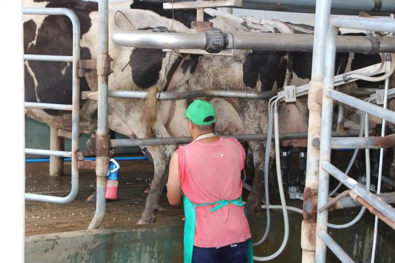 Santa Fe lidera las exportaciones lácteas concentrando el 50 % de las ventas y registra un fuerte crecimiento