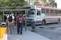 Transporte público: el boleto plano sin subsidio superaría los $550