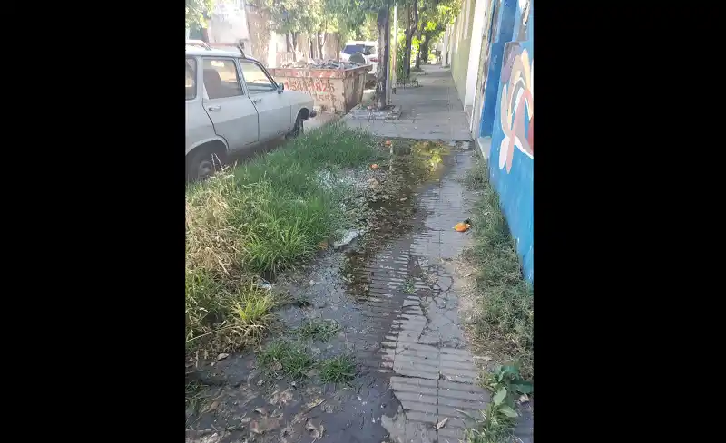 Reporte ciudadano: pérdida de agua en la vereda del Siripo