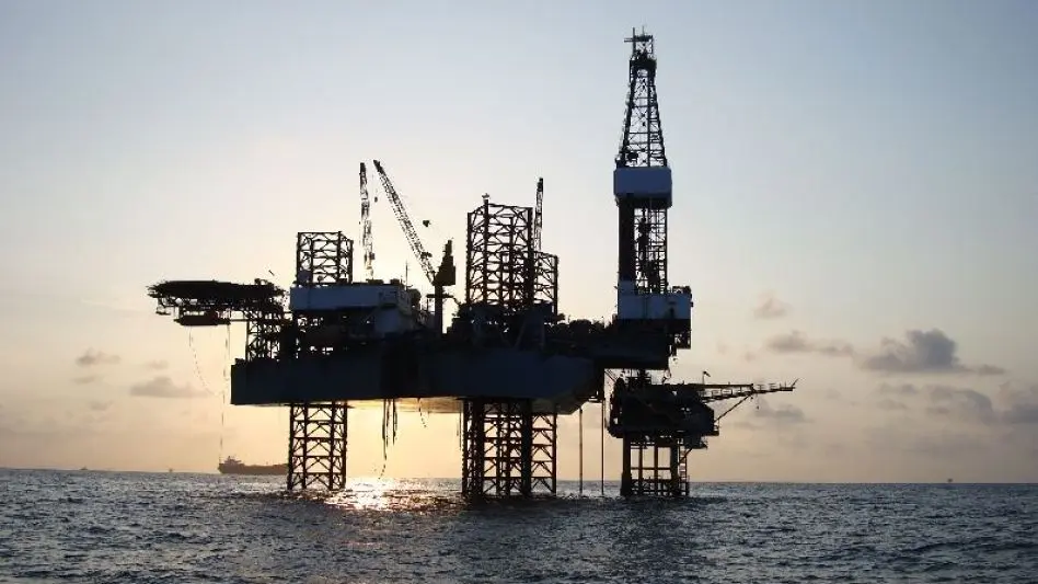 Científicos marplatenses crearon un protocolo para el cuidado de la fauna marina