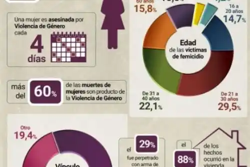 Una mujer es asesinada cada cuatro días y el 62% de los femicidas son parejas o ex