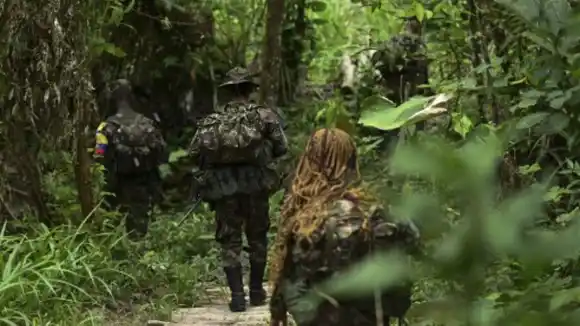 ¿RUMBO A LA PAZ TOTAL? Colombia anuncia inicio de negociaciones de paz con disidentes de FARC