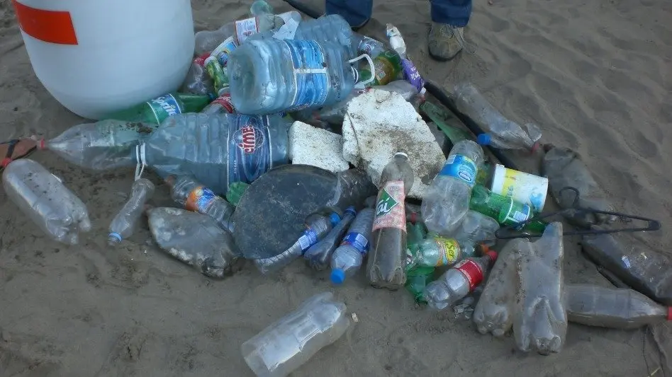 6to Censo de basura en la playa: "lo que más se encontró fueron colillas de cigarrillos"