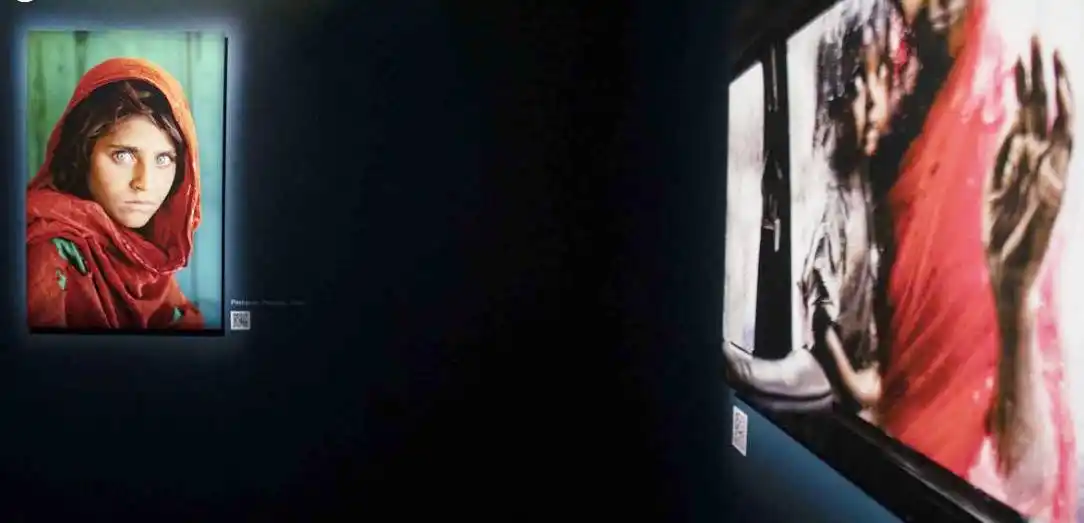 Pasen y vean las fotos icónicas del maestro Steve McCurry