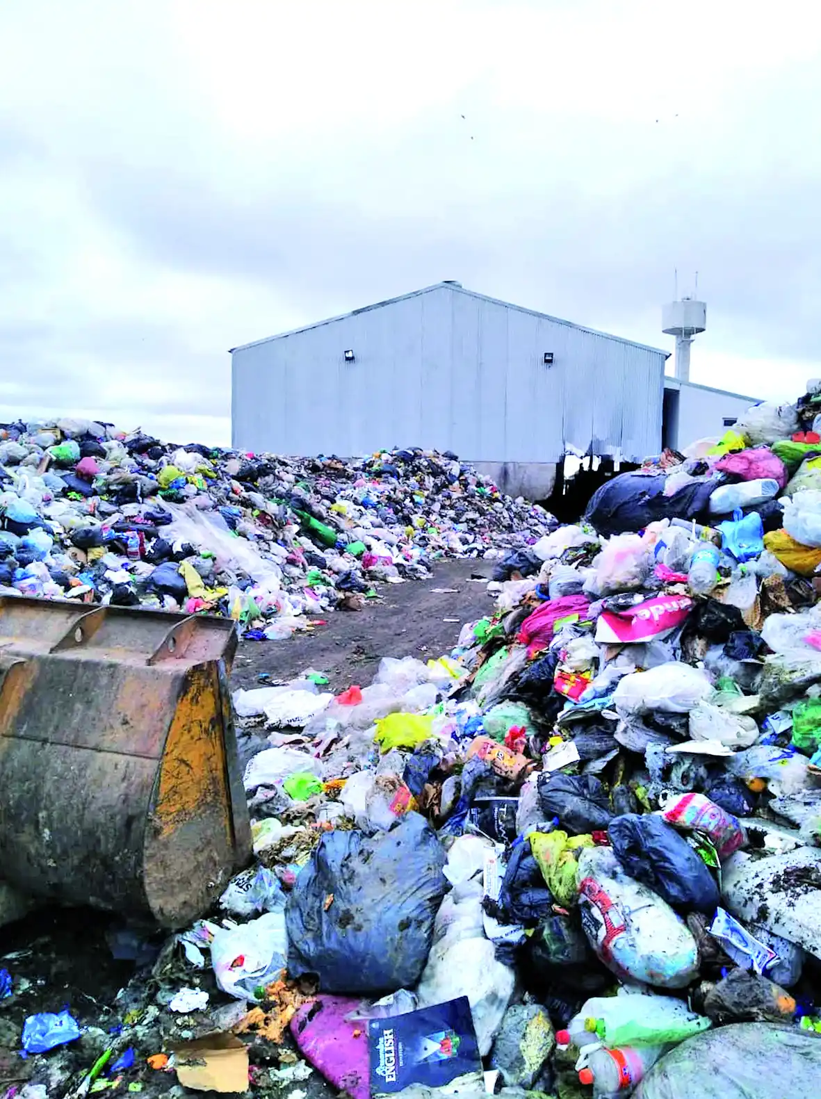 Producir trabajo y plata con toda la basura de la ciudad