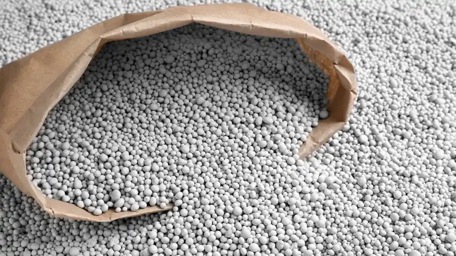 Alerta por el atraso cambiario y el cepo importador