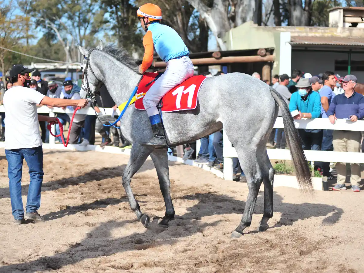  Se palpita la  nueva reunión del “Oscar C. Boero”