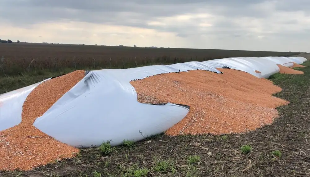 Se conocieron nuevos casos de vandalismos en silo bolsas