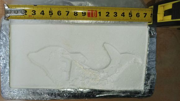 Detuvieron a cinco gendarmes por el faltante de más de 15 kilos de cocaína