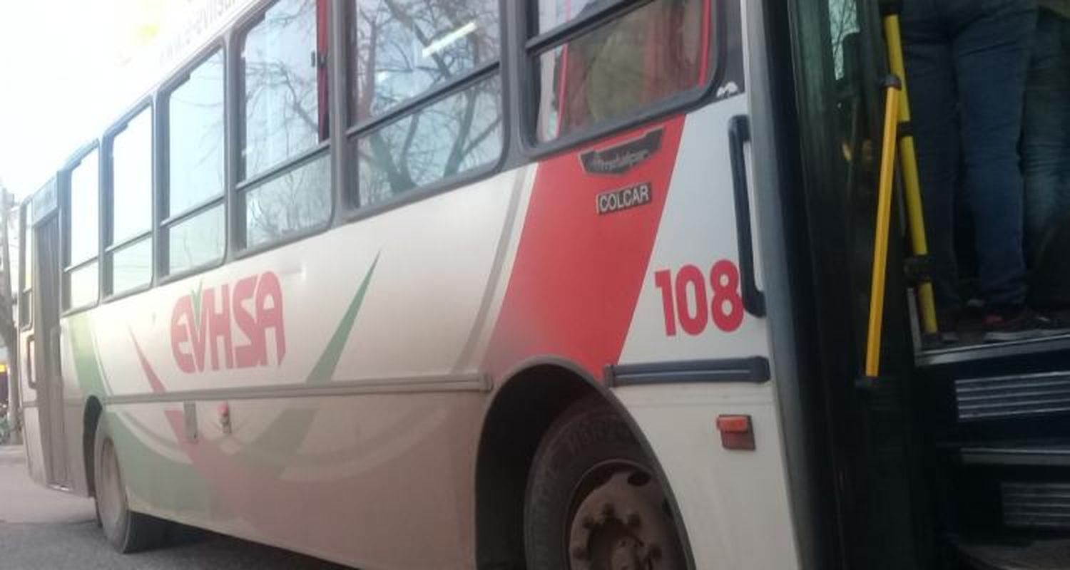 Reclamo: Se rompió el único colectivo adaptado y Andrea no pudo viajar en silla de ruedas