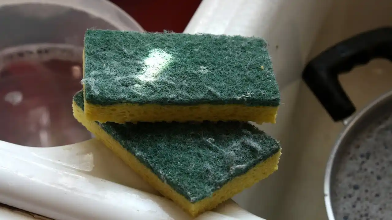 Por qué nunca hay que lavar la esponja de cocina para volverla a usar
