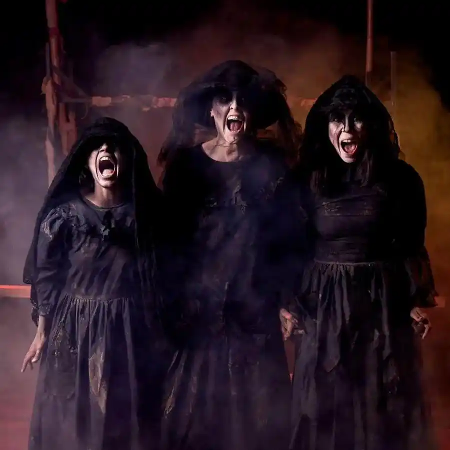 El fortín de los caranchos éxito de taquilla