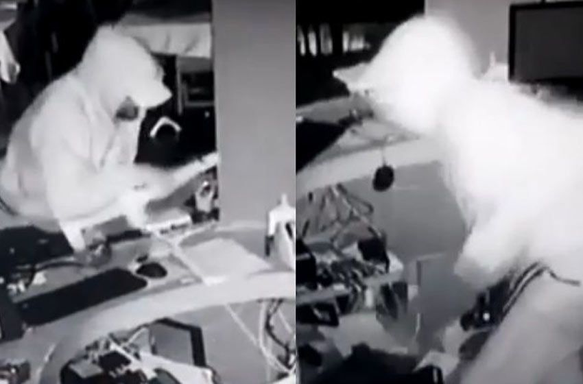 Le robaron tres veces, filmó a los ladrones y la policía no los detuvo