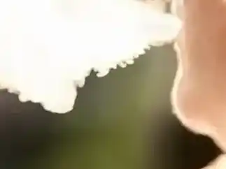 El proyecto llega en un contexto de creciente preocupación de las autoridades sanitarias por el aumento del uso de vapeadores entre adolescentes y jóvenes.