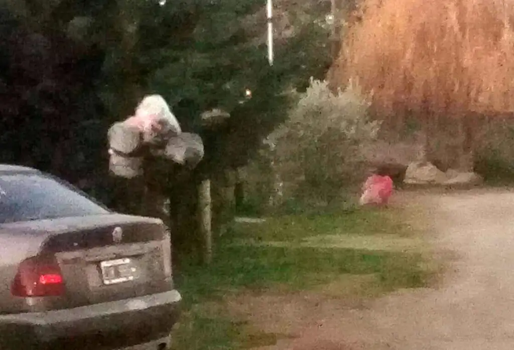 Vecinos de Chubut al 2200 están  sin recolección hace tres semanas