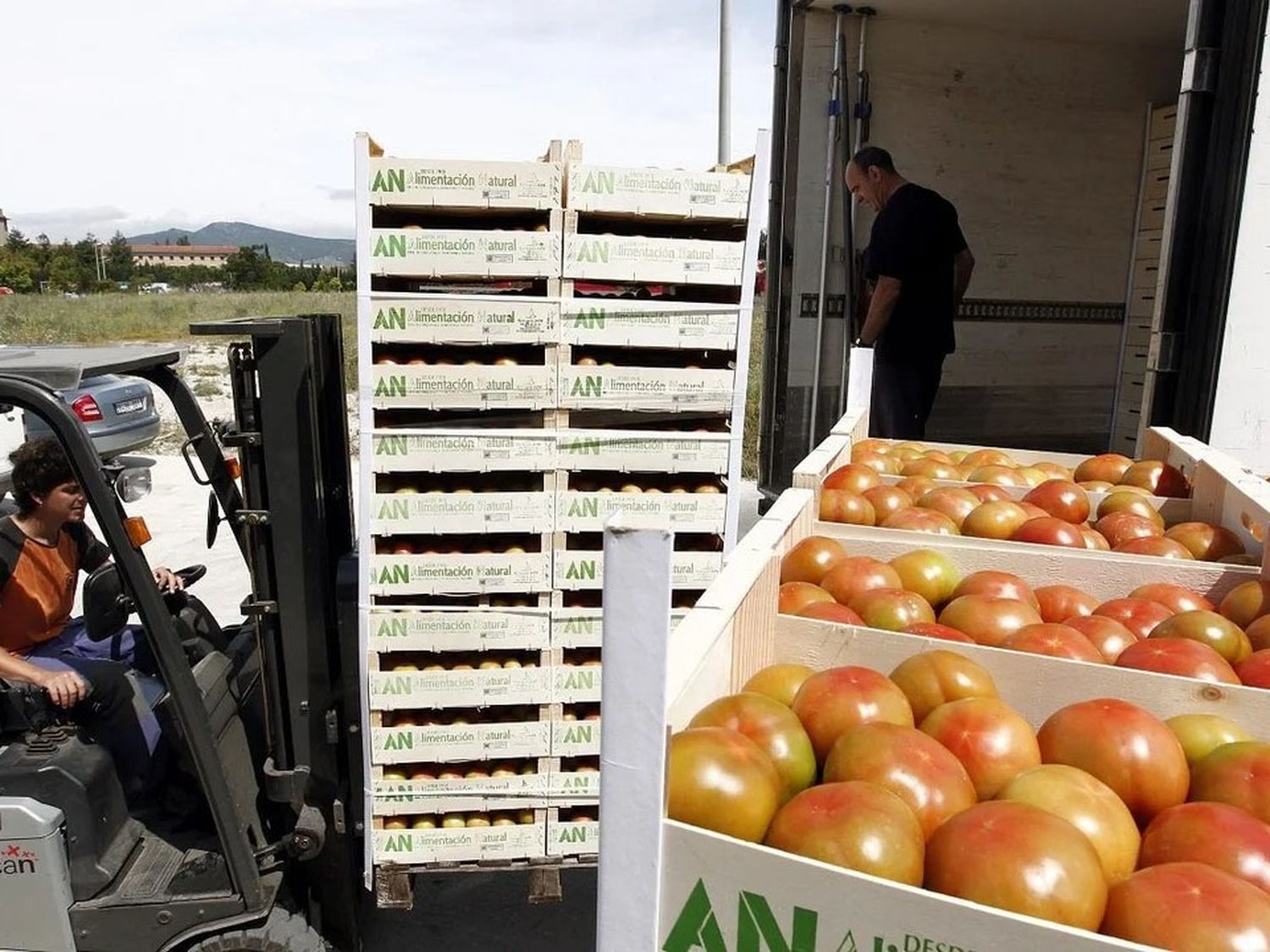 Flexibilizan la importación de alimentos para forzar la baja de precios