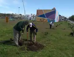 Continúan las tareas de forestación y mejoramiento de espacios verdes en la ciudad