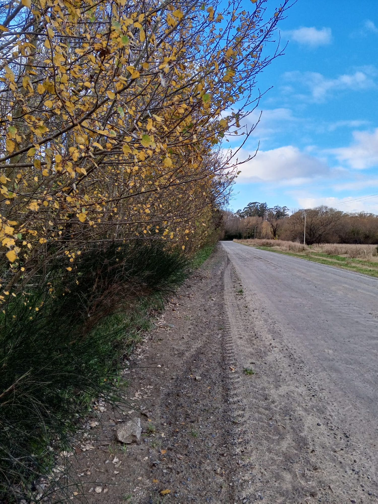 camino al sol - 2
