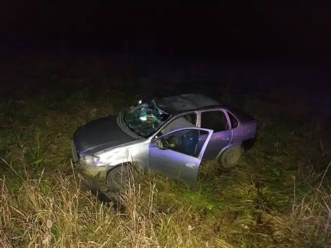 Remisero perdió el control y despistó en ruta 191