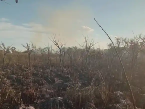 Fuego en Corrientes: consumió 200 hectáreas y sospechan que fue intencional
