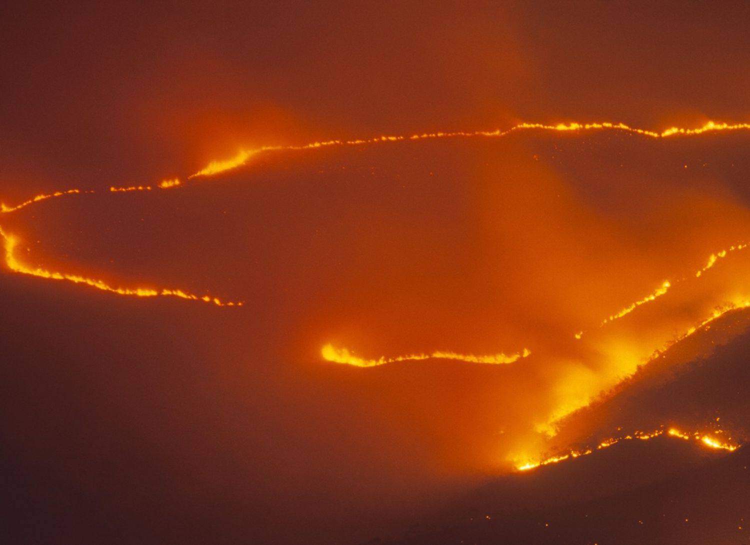 Aerolíneas colaboran en la evacuación de Maui, devastada por incendios forestales