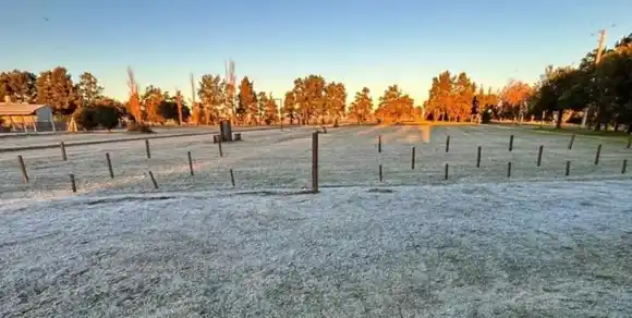 Bajo heladas intensas y condiciones secas, avanza la siembra de trigo con altas expectativas