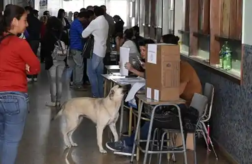 Elecciones 2019: a una semana de las Paso, con frentes sin internas en Nación y Provincia