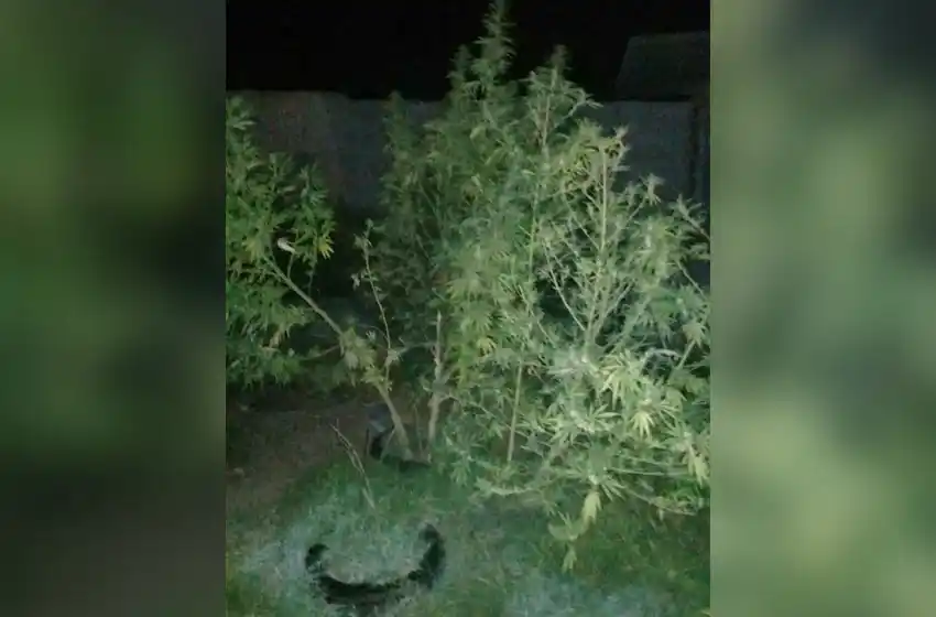 Persecución policial finalizó con un detenido por posesión de arma y estupefacientes